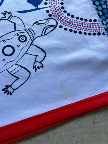 Sydney Roosters Indigenous NRL Jersey - M